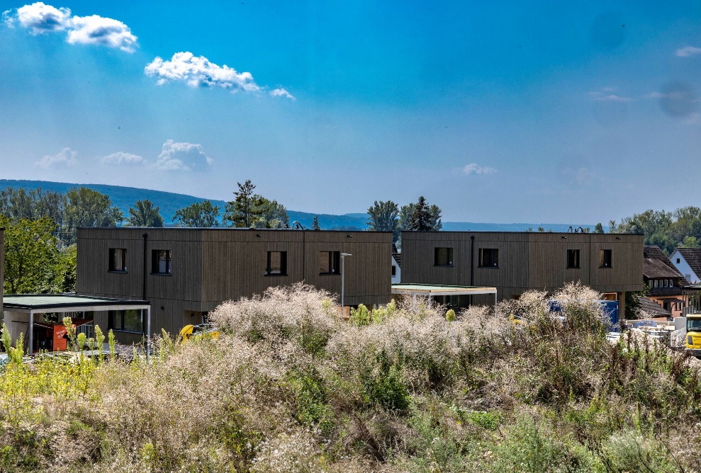 Wohnsiedlung mit Holzfassade